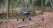 Uzbrojone psy-roboty. To już nie scenariusz filmu