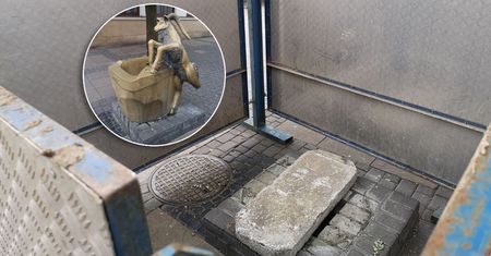 Koziołek zniknął z deptaka. Kilka dni wcześniej wjechał w niego młody kierowca, uszkadzając jego nogę