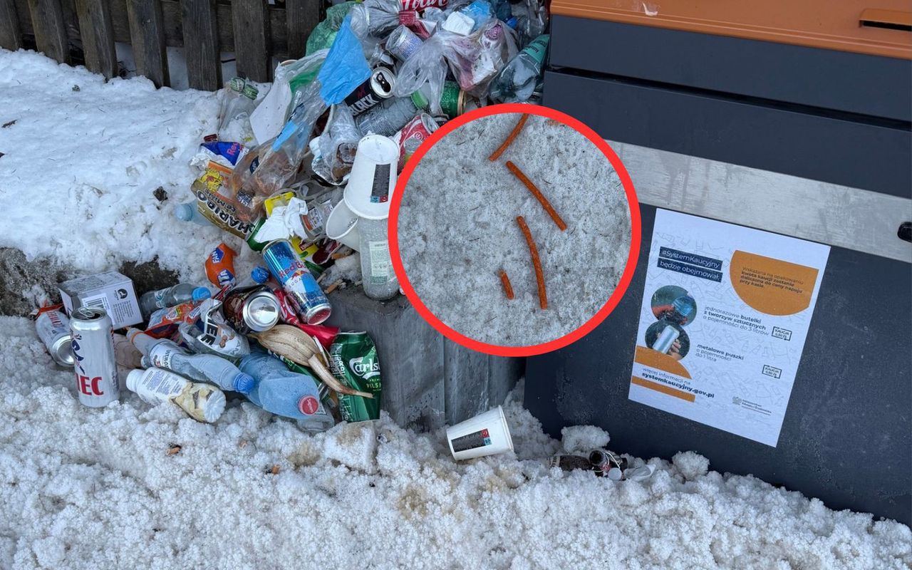 Skandaliczny widok w Tatrach. Zostawili je przy śmieciach