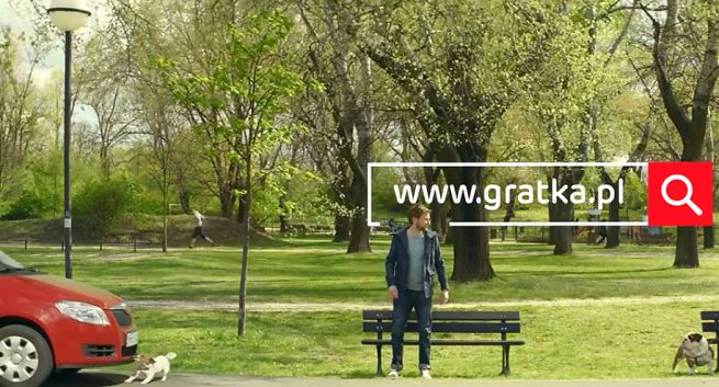 Pies szukający samochodu, domu i pracy w reklamach Gratka.pl (wideo)