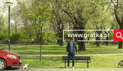 Pies szukający samochodu, domu i pracy w reklamach Gratka.pl (wideo)