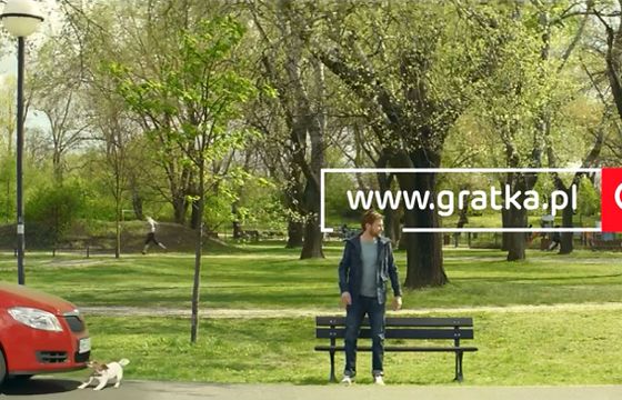 Pies szukający samochodu, domu i pracy w reklamach Gratka.pl (wideo)