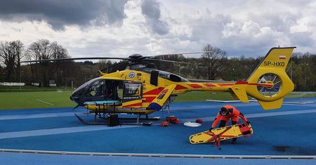 Tragedia na Dolnym Śląsku. Na 15-latka spadło drzewo