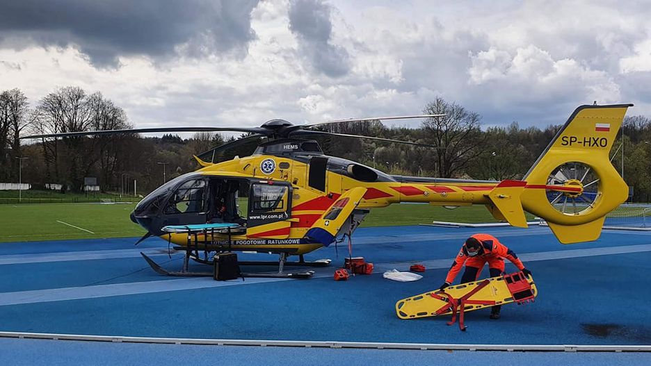 Tragedia na Dolnym Śląsku. Na 15-latka spadło drzewo