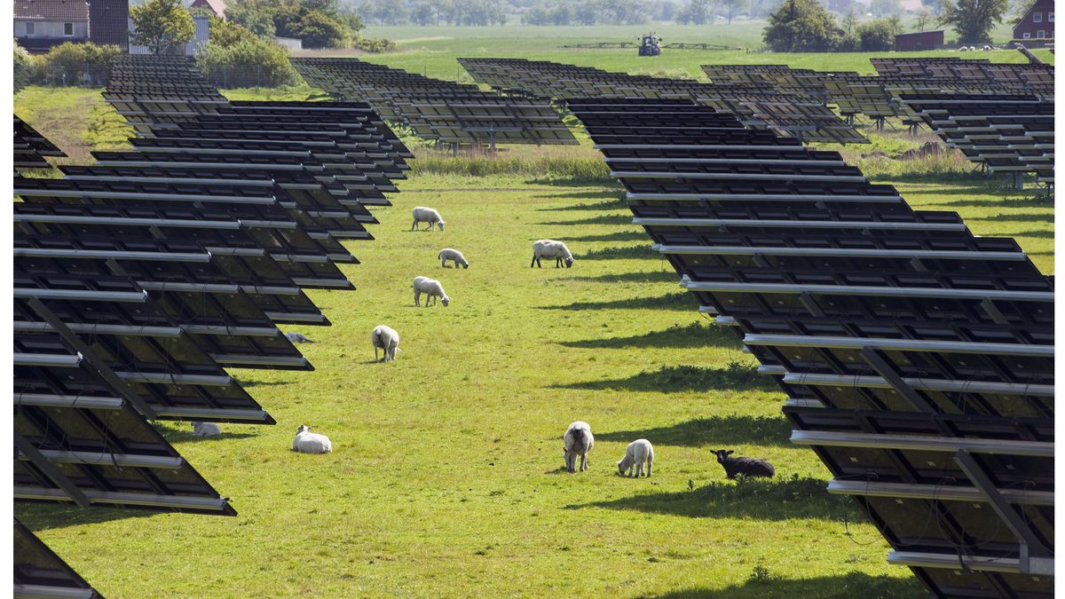 Polacy rzucili się na odnawialne źródła energii. Liczby nie kłamią 1