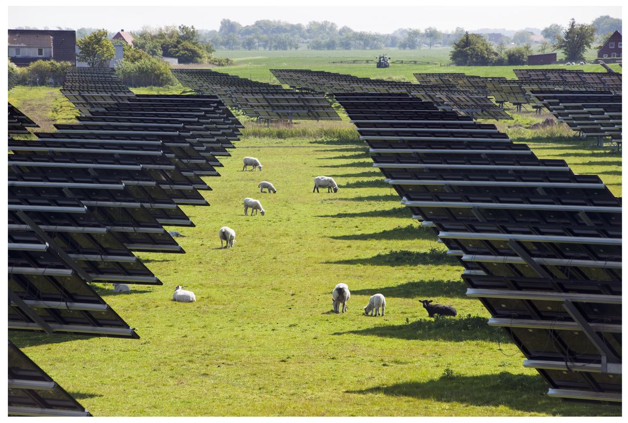 Polacy rzucili się na odnawialne źródła energii. Liczby nie kłamią