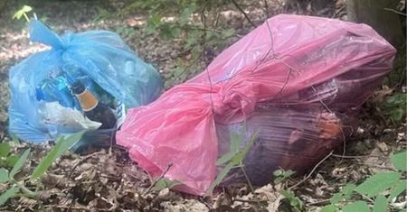 Leśnicy pokazali zdjęcia z okolicy Zalewu Sulejowskiego. "Nie nadążamy"