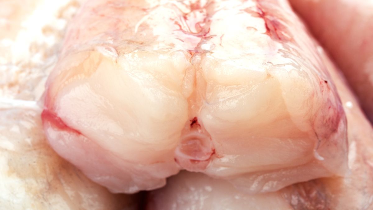 Miętus jest skarbnicą składników odżywczych