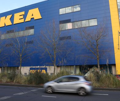 Długi weekend w długiej kolejce. Polacy ruszyli na zakupy, na wejściu kontrola paszportu