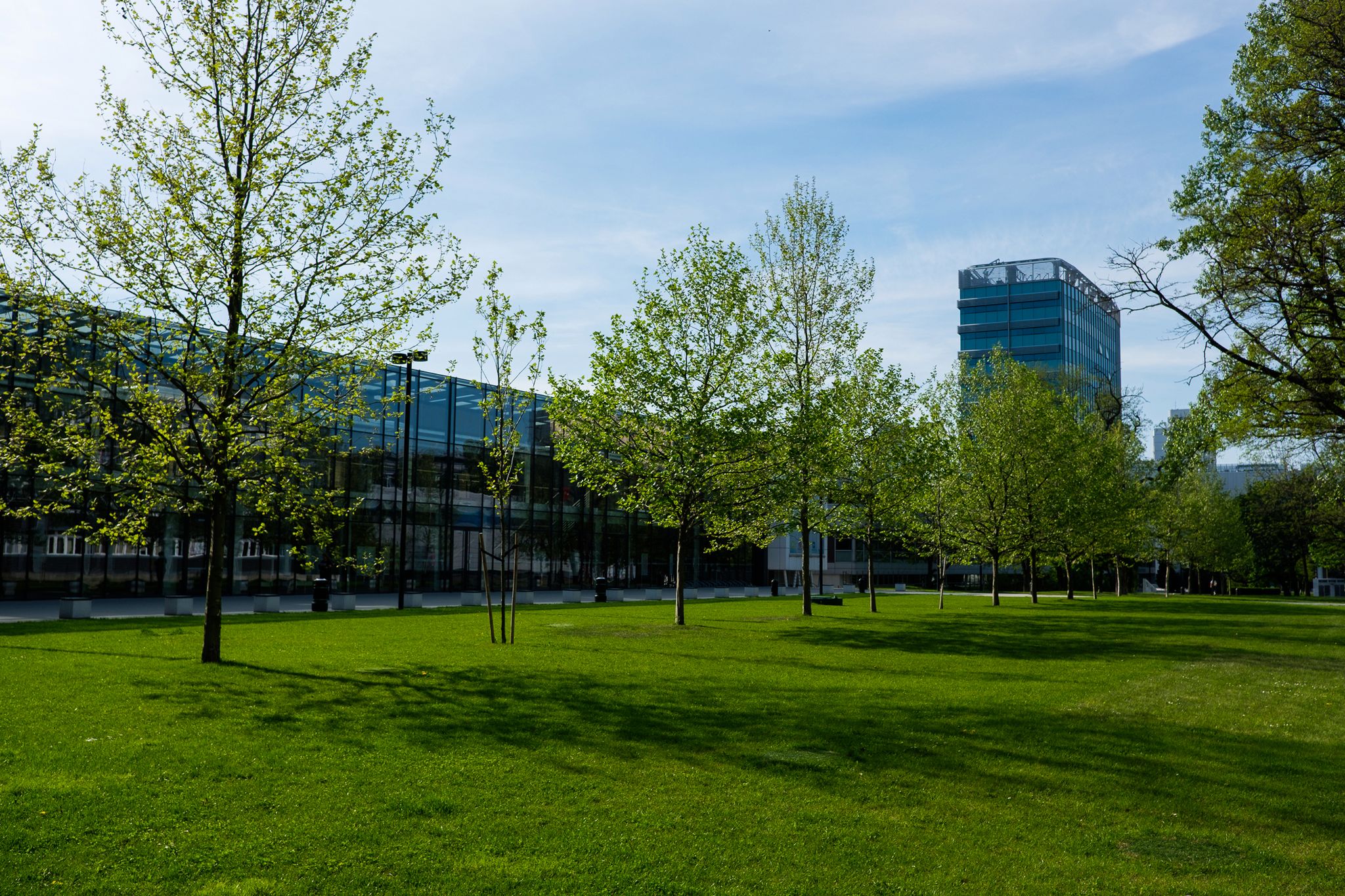 Krajobraz miejski też może być piękny. Zrób kilka zdjęć! 4