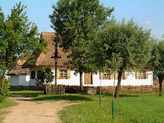 Obraz
