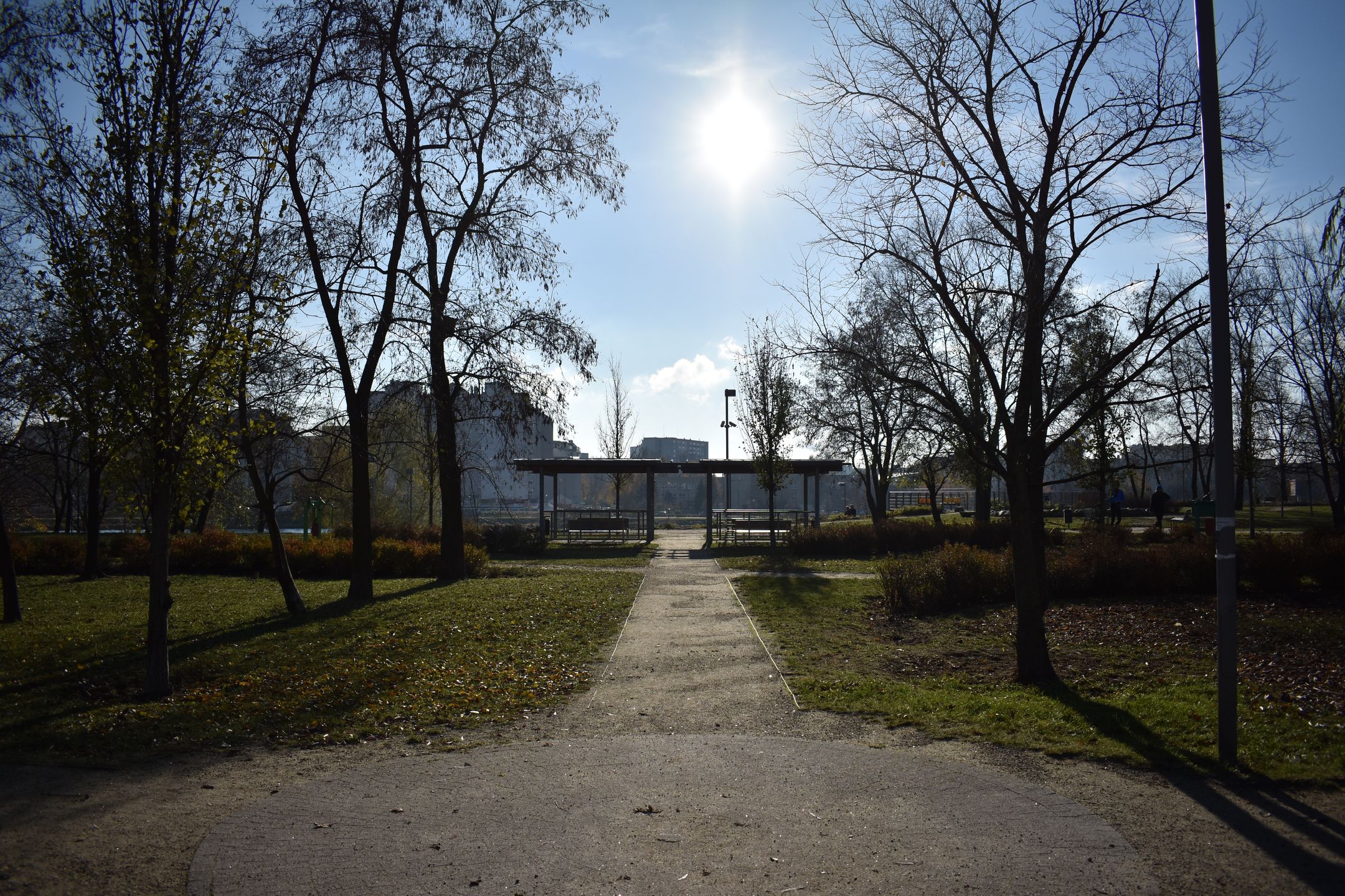 Nikon D3400 - test lustrzanki dla każdego 54