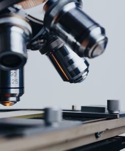 Sosnowiec. Zbadają genom wirusa SARS-CoV-2.