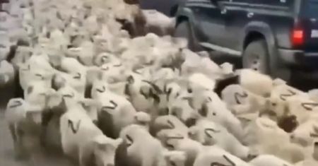Też to widzicie? Rosjanie nie cofną się przed niczym