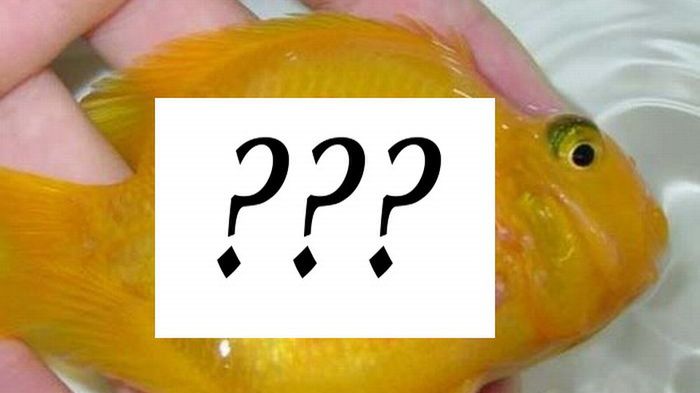 Dziwaczna moda prosto z Chin 1