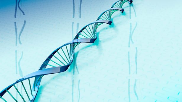 Bakteria E. coli jako bardzo pojemny nośnik danych 1