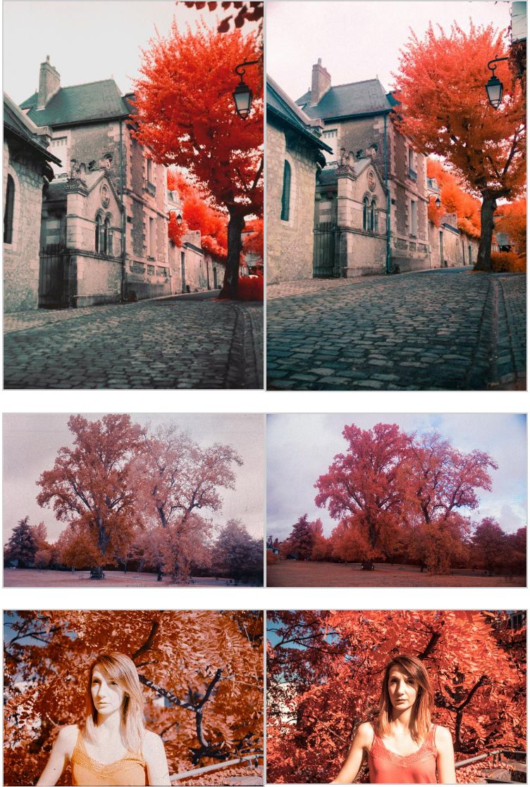 Po lewej stronie są zdjęcia z Kodaka Aerochrome, po prawej z Canona EOS 6D Mark II.