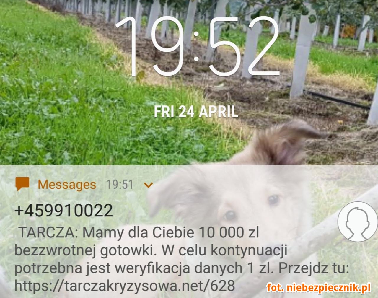 Fałszywy SMS z informacją o rzekomej możliwości otrzymania wsparcia finansowego, fot. Niebezpiecznik.