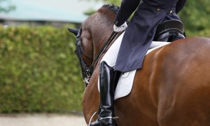 Jesteś miłośnikiem koni? Sprawdź w krzyżówce, ile wiesz o jeździectwie