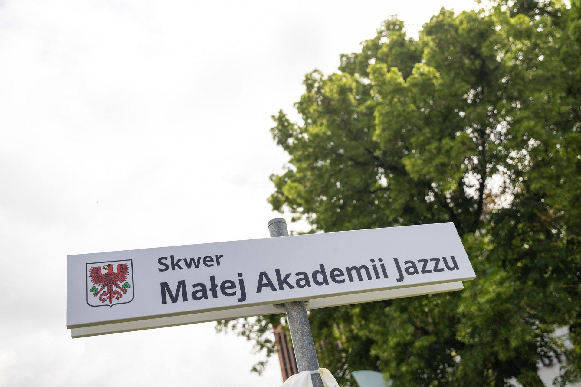 Autorem wizerunku tablic – pierwszą można już zobaczyć na skwerze Małej Akademii Jazzu - jest Łukasz Kulczyński, na co dzień fotograf magistratu.