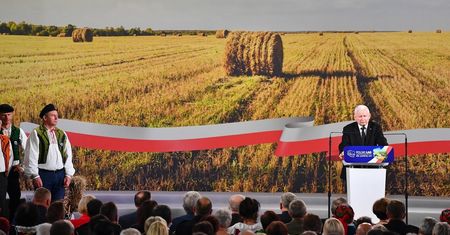 PiS kusi rolników pieniędzmi. Lider Agrounii: "Pustosłowie i nowomowa"