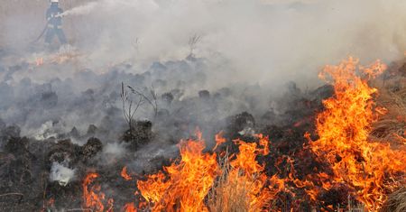 Pożar w Biebrzańskim Parku Narodowym. "Ochotnicy dniem i nocą walczą z narażeniem życia"