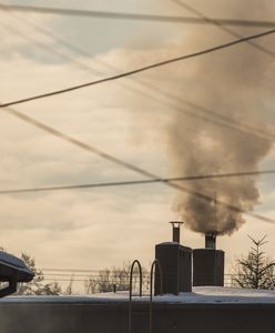 Bielsko-Biała. Likwidacja starych źródeł ciepła. Dofinansowanie znaczące, ale są warunki