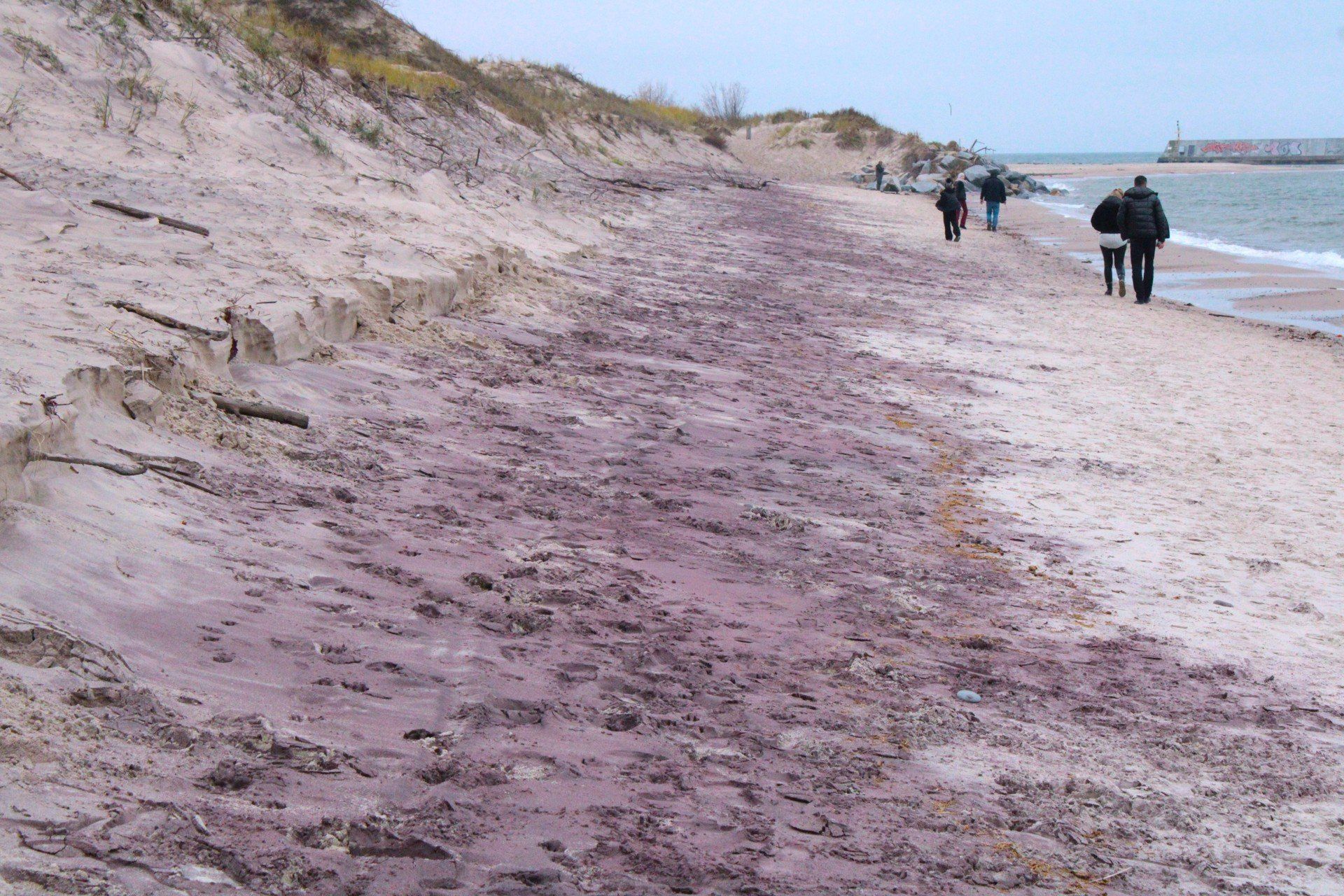 Fioletowa plaża w Mielnie