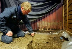 "Telewizyjni" mordercy. Niepokojąca wizja, w którą trudno uwierzyć