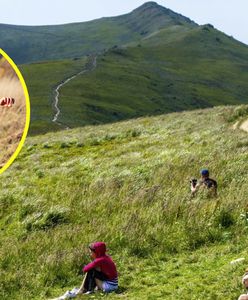 Zostawił 10-letnią córkę na szlaku. Sam poszedł dalej