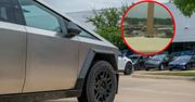 Cybertruck uderzył w słup. Matka z Houston pozwała Teslę na milion dolarów