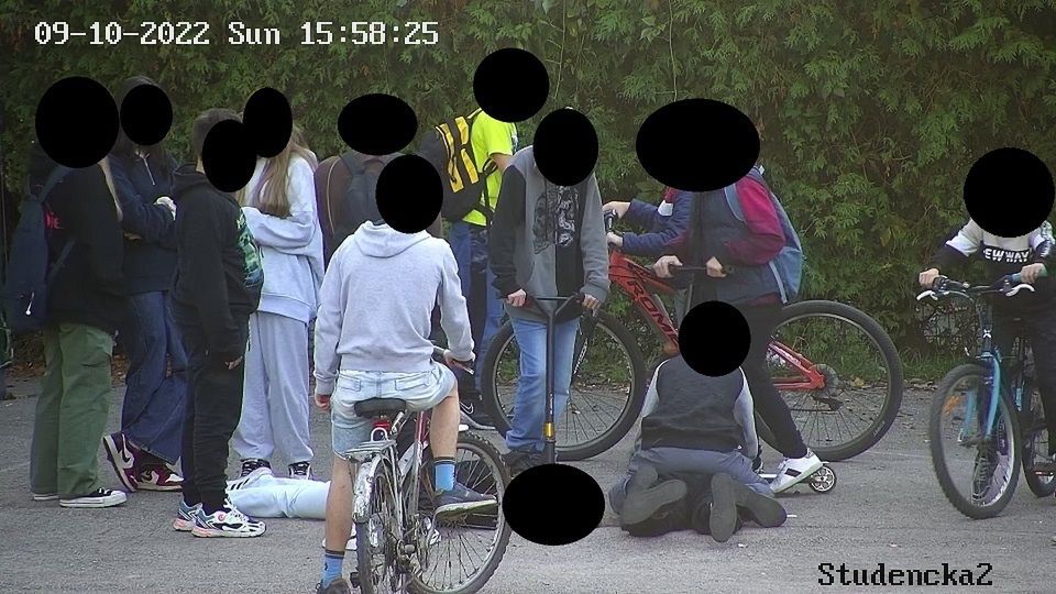 Nietrzeźwe nastolatki pobiły się w Czechowicach Dziedzicach