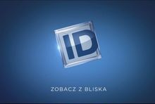 grafika