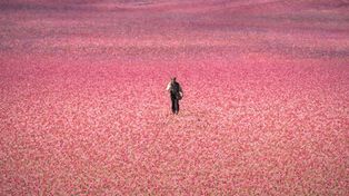 Dziś na Prime Video premiera adaptacji książki, która sprzedała się w milionach egzemplarzy i została przetłumaczona na 40 języków