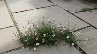 "Podatek od betonu" za kostkę brukową? Narosło wiele mitów, a przepisy mówią jasno