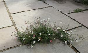 "Podatek od betonu" za kostkę brukową? Narosło wiele mitów, a przepisy mówią jasno