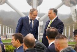 Polak, Węgier, już nie dwa bratanki. "Zniknęła jedyna podstawa braterstwa"