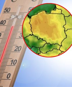 Przed nami fala ciepła. Sprawdź szczegółową prognozę na kwiecień