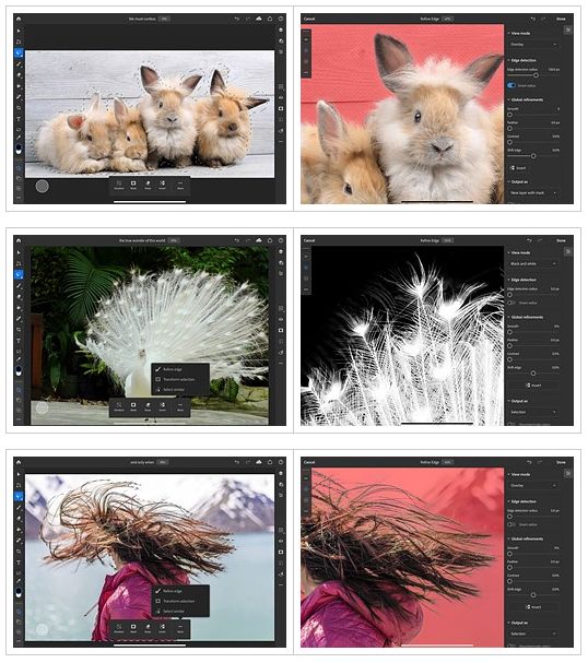 Photoshop na iPada: Refine Edge Brush oraz gesty dotykowe 2