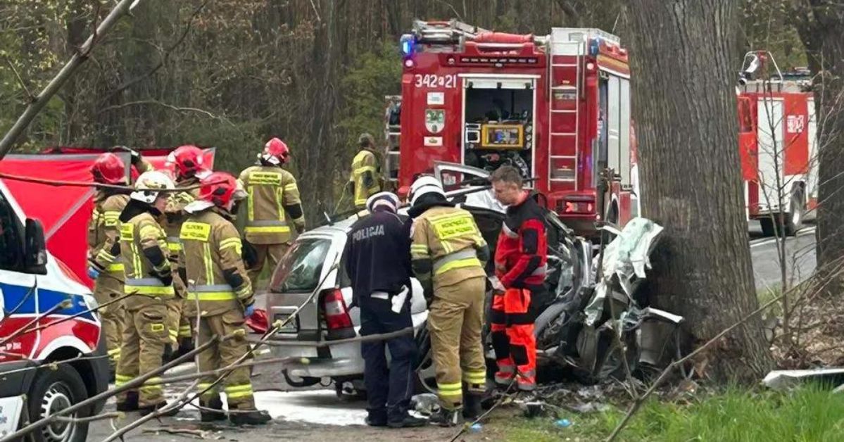 Śmiertelny wypadek w Zielonej Górze. Kobieta z potężną siłą uderzyła w drzewo. Zginęła na miejscu