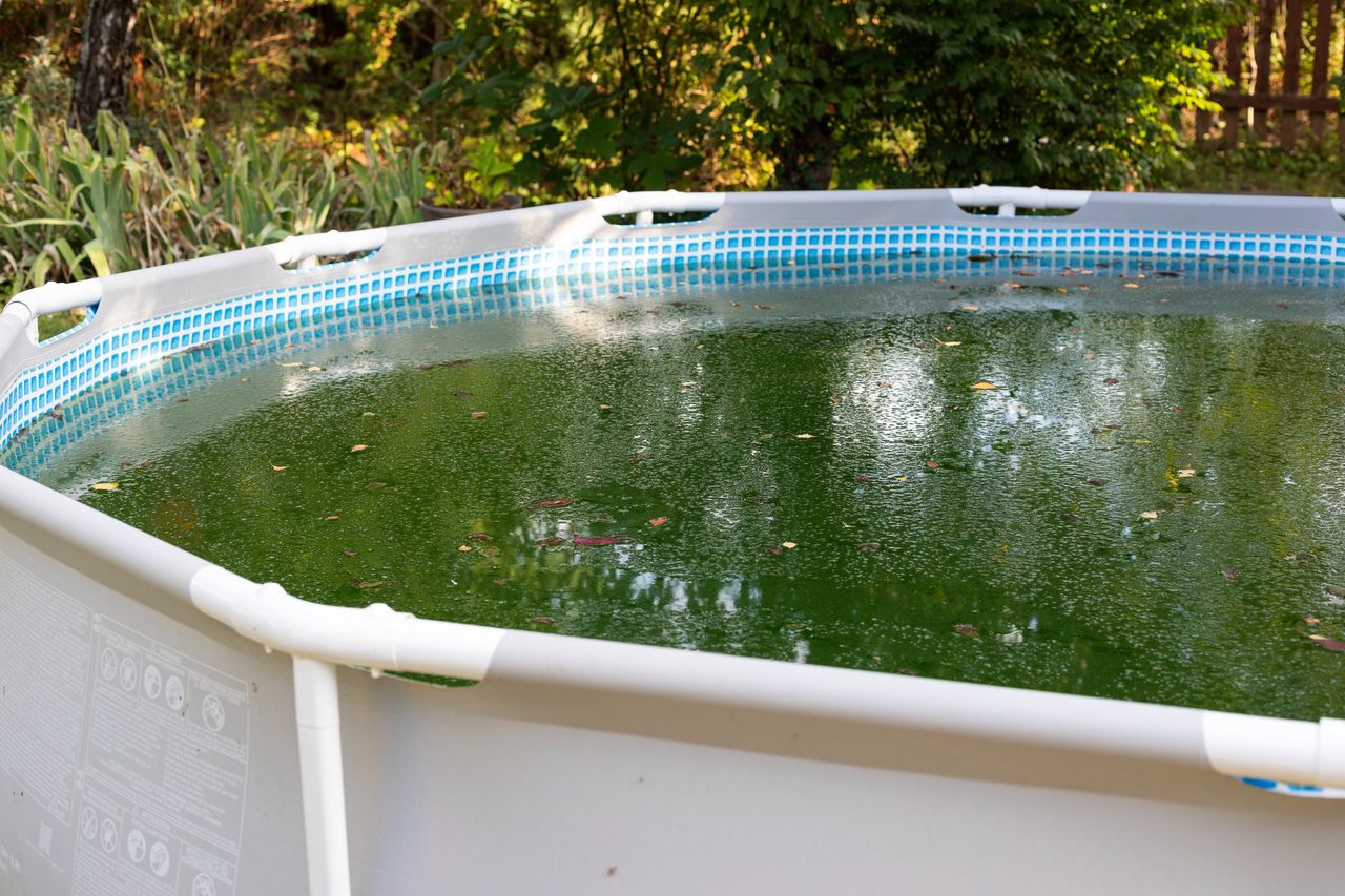 A simple way to clear cloudy pool water