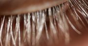 Rzęsy jedwabne