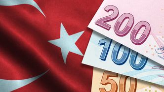 Kryzys w Turcji. Erdogan apeluje o trzymanie oszczędności w lirach. Minister finansów namawia do pozwów przeciwko ekonomistom