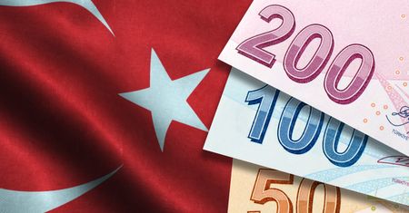 Kryzys w Turcji. Erdogan apeluje o trzymanie oszczędności w lirach. Minister finansów namawia do pozwów przeciwko ekonomistom