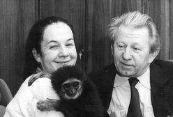 Hanna i Antoni Gucwińscy: kiedyś uwielbiani, dziś niepotrzebni?