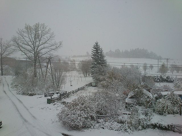 Obraz