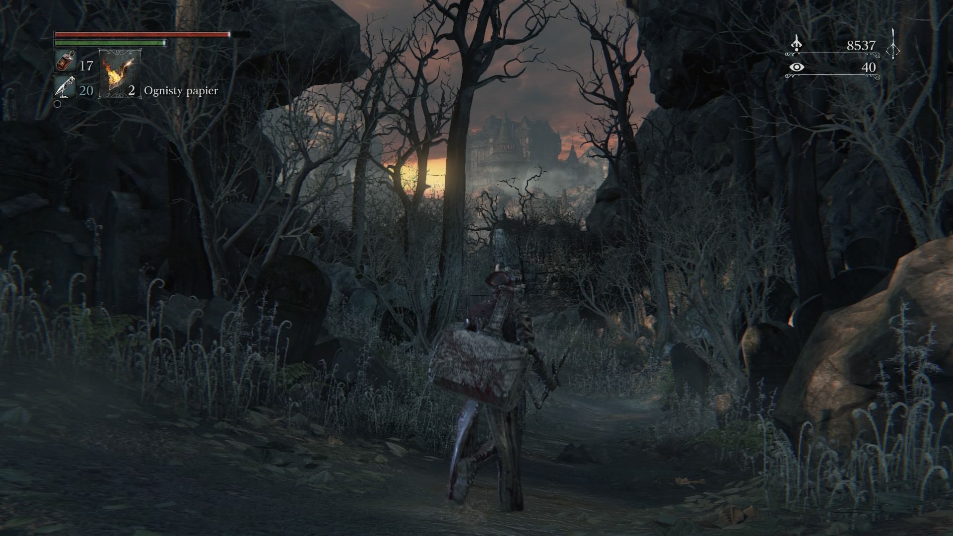 Bloodborne — to trudna miłość, ale nie odwracaj się do świetnej gry plecami 9