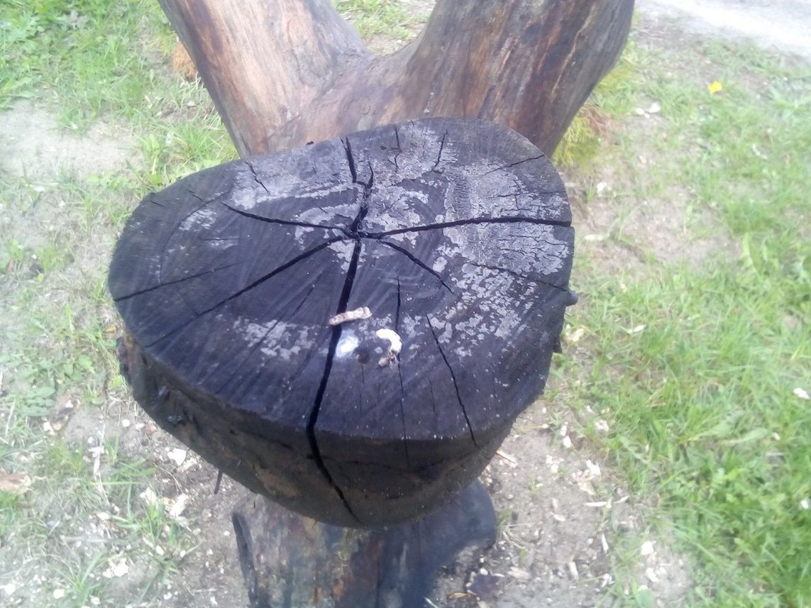 Test Bluboo Picasso – bardzo tani smartfon z zaskakująco dobrą obudową 10