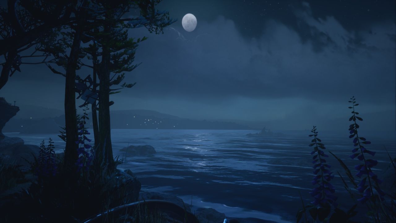 Nocny widok z Orcas Island
