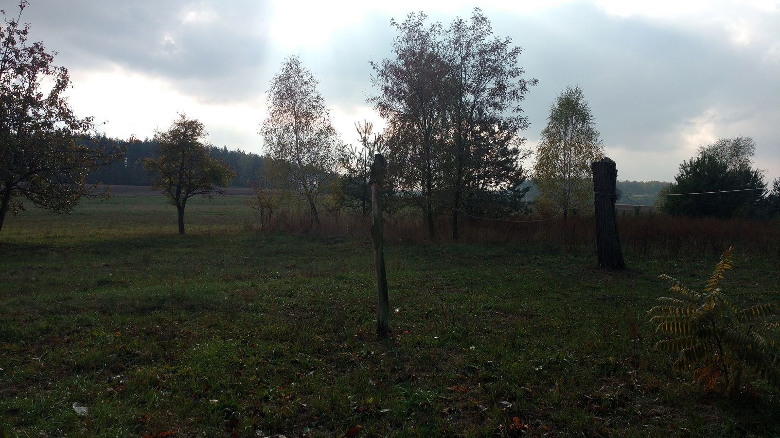 Test Moto X Play – Motorola otarła się o doskonałość i to w średniej klasie 13